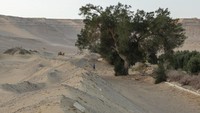 Ditambah adanya pembangunan bendungan oleh Ethiopia di Sungai Nil Biru, anak sungai utama Sungai Nil.
