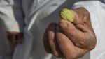 Lahan Petani Mesir Ini Kekeringan Akibat Proyek Bendungan Etiopia