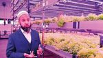 Mengintip Kerennya Kebun Vertikal yang Sedang Ngetren di Dubai
