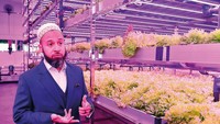 Menurut beberapa pendiri kebun vertikal di Dubai. Perkebunan ini menggunakan metode hidroponik yang memiliki banyak manfaat untuk kesehatan dan lingkungan. Foto: Gulf News/Emirates/Supplied/Badia Farms