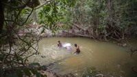 Tidak hanya penanganan virus Corona yang dianggap tidak baik, mereka juga mengecam Presiden atas kebakaran hutan yang terjadi di Amazon.