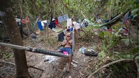 Seorang pria Kayapo beristirahat di tempat tidur gantung setelah penghentian sementara protes yang memblokir Jalan Raya utama dekat Novo Progresso, Brasil, Rabu, (19/8/2020) waktu setempat.