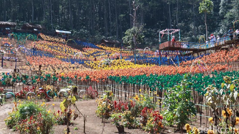 Wisata Zandea Bandung Objek wisata di Kabupaten Bandung.