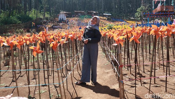 Foto Taman Kincir Angin Warna Warni Di Bandung