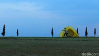 Bukit Cemara juga dekat dengan tempat wisata Oray Tapa. Di sana, pengunjung bisa melakukan aktivitas seperti bersepeda, motor cross, hingga offroad. 