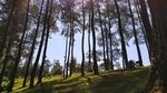 Potret Darmacaang Hill Ciamis yang Ciamik
