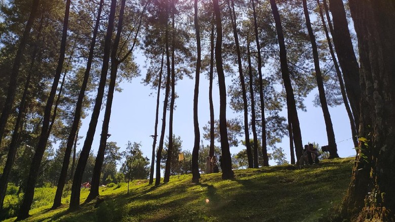 10 Tempat Wisata Ciamis, Banyak yang Baru Lho!
