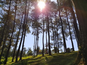 Masih Libur Lebaran? Coba Deh Datang ke 4 Wisata di Ciamis Ini
