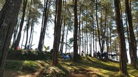 Wisata Alam Darmacaang hill biasa ramai oleh pengunjung di akhir pekan, baik yang kemping atau piknik keluarga.  (Dadang Hermansyah/detikcom)