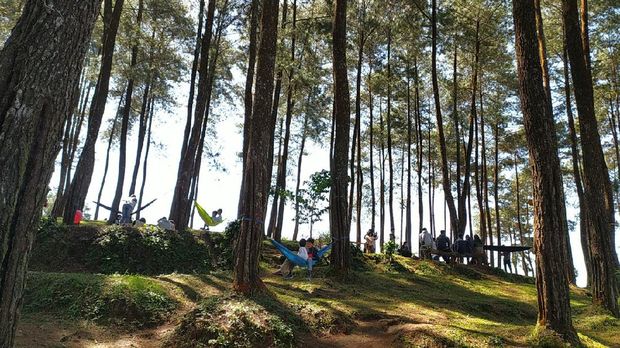 Darmacaang Hill Ciamis