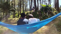 Menikmati suasana hutan pinus sambil berayun di hammock jadi pilihan wisatawan. (Dadang Hermansyah/detikcom)