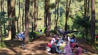 Piknik pun jadi salah satu aktivitas yang bisa dinikmati oleh pengunjung. (Dadang Hermansyah/detikcom)