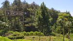 Potret Darmacaang Hill Ciamis yang Ciamik