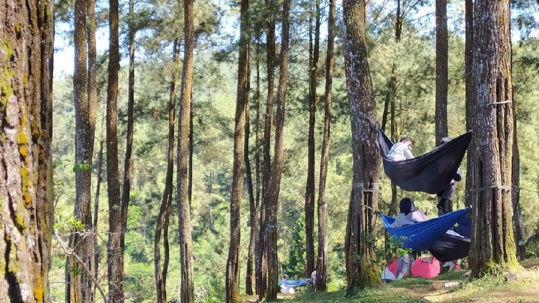 Darmacaang Hill Ciamis Darmacaang Hill Ciamis