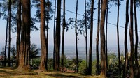 Darmacaang Hill atau juga wisata alam Batu Cakra, berada di Desa Darmacaang, Kecamatan Cikoneng, Kabupaten Ciamis. (Dadang Hermansyah/detikcom) Darmacaang Hill atau juga wisata alam Batu Cakra, berada di Desa Darmacaang, Kecamatan Cikoneng, Kabupaten Ciamis. (Dadang Hermansyah/detikcom)