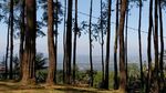 Potret Darmacaang Hill Ciamis yang Ciamik