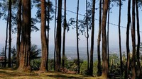 Darmacaang Hill atau juga wisata alam Batu Cakra, berada di Desa Darmacaang, Kecamatan Cikoneng, Kabupaten Ciamis. (Dadang Hermansyah/detikcom)