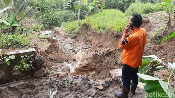 Irigasi Jebol, 200 Hektar Lahan Padi di Cikembar Sukabumi Terancam Gagal Panen