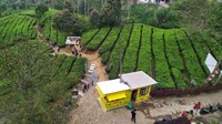 Pemandangan hijaunya bikin adem. (Ismet Selamet/detikcom)