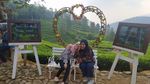 Deretan Foto Kebun Teh Gunung Mas yang Instagrammable