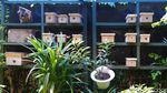 Keren, RW di Kota Bandung Ini Budidaya Lebah Trigona