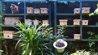 Setiap rumah yang berada di RW 2 kini dihiasi dengan tanaman yang jadi makanan lebah Trigona. Ada juga kotak-kotak berbentuk persegi panjang yang jadi sarang lebah dan tempat produksi madu Trigona.