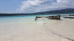 Traveler, Ujung Kulon Menantimu