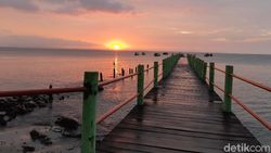 Mengintai Badak Jawa dari  Ketinggian Ujung  Kulon 