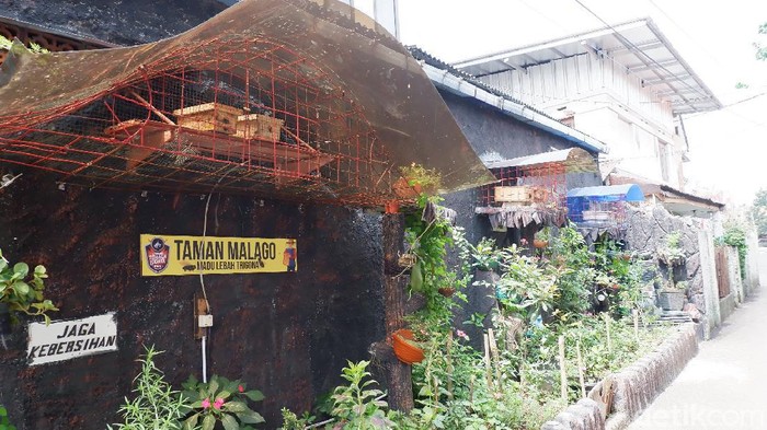 Panduan Gratis Ternak Lebah Klanceng Bandung Lengkap Download Disini Menengok Aktivitas Budidaya Lebah Trigona di Pusat Kota Bandung