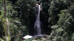 Laris Manis Wisata Air Terjun di Masa Transisi Corona