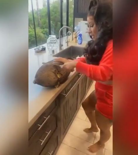Cardi B makan buah nangka