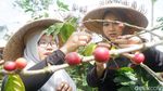 Foto: Naik Jip Menuju Tempat Ngopi Hits di Banjarnegara