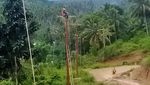 Nyemplung Sungai-Tembus Hutan, Begini Perjuangan Terangi Desa Terpencil