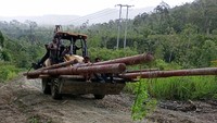 Untuk melistriki Desa Uneth dan Desa Fakal, PLN membangun Jaringan Tegangan Menengah (JTM) sepanjang 2 kilometer sirkuit (kms) dan 2 buah Gardu Distribusi berkapasitas 50 kiloVolt Ampere (kVA). Foto: Dok. PT PLN (Persero)