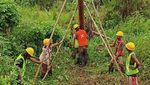 Melihat Perjuangan Terangi 2 Desa Terpencil di Buru Selatan