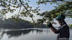 Foto: 2 Waduk Tangerang Selatan yang Asyik untuk Leyeh-leyeh