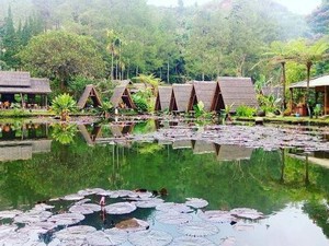 Sedep Pisan! Makan Bareng Keluarga di 5 Resto Konsep Alam di Lembang