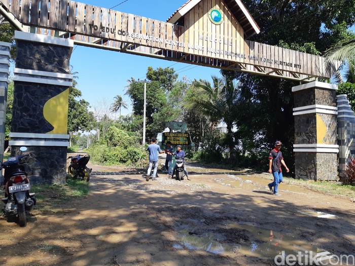 Ujung Kulon Ujung Kulon