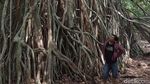 Traveler, Ujung Kulon Menantimu