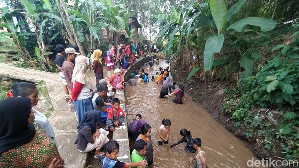Aneka Ikan puluhan kilogram tersebut sengaja ditanam untuk ditangkap. Kegiatan ngobeng ini digelar oleh Karang Taruna masih dalam rangkaian Agustusan (Dadang Hermansyah/detikTravel) Aneka Ikan puluhan kilogram tersebut sengaja ditanam untuk ditangkap. Kegiatan ngobeng ini digelar oleh Karang Taruna masih dalam rangkaian Agustusan (Dadang Hermansyah/detikTravel)