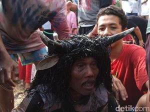 Ritual Tradisi Keboan Aliyan Tetap Digelar di Tengah Pandemi COVID-19