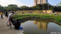  Warga yang piknik kebanyakan berkumpul 2-6 orang. Tampak pula muda-mudi duduk-duduk di bangku.