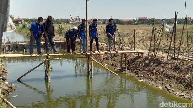 Pemuda Desa Wates, Kecamatan Undaan Kudus bekerja sama dengan Undip memanfaatkan irigasi menjadi kolam ikan, Sabtu (22/8/2020).