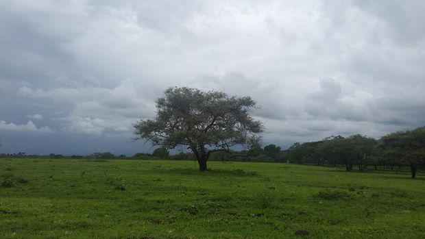 Taman nasional di Situbondo.