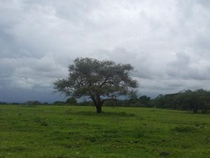 Ini Protokol Baru Berkunjung ke Taman Nasional Baluran