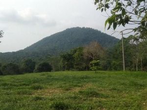 Tren Gowes Selama Pandemi, Berkah buat Tempat Wisata Ini