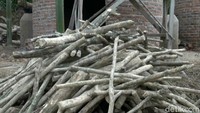 Toni menjelaskan, pihak pembeli dari China melalui buyer dengan perajin sudah melakukan kontrak pemesanan persatu bulan ini, perajin harus menyiapkan 320 Ton arang.