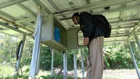 Pemerintah desa setempat membangun PLTS menggunakan Dana Desa untuk menghidupkan mesin pompa air guna mengairi persawahan karena petani di wilayah tersebut sering kesulitan air untuk pertanian terutama saat musim kemarau.