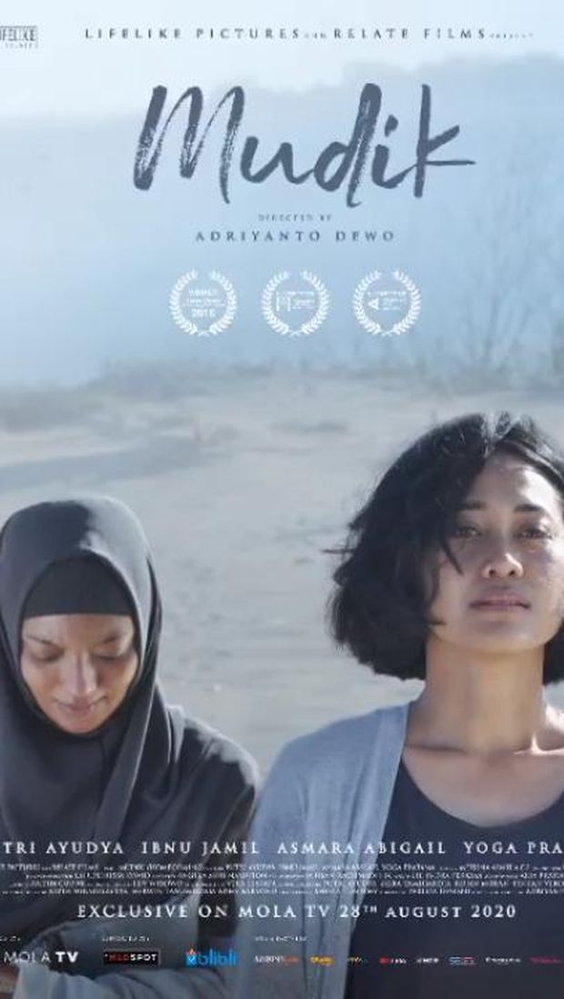 Film mudik