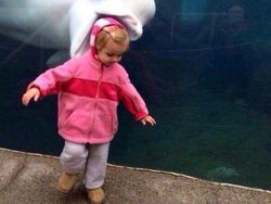 Foto Hewan di Belakang Orang yang Bikin Salah Fokus, Ngakak Abis!